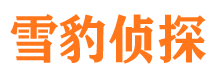 开远寻人公司